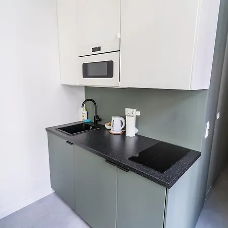 88a New Soft Loft In The Center 아파트 *